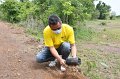 20210526-Tree planting dayt-088